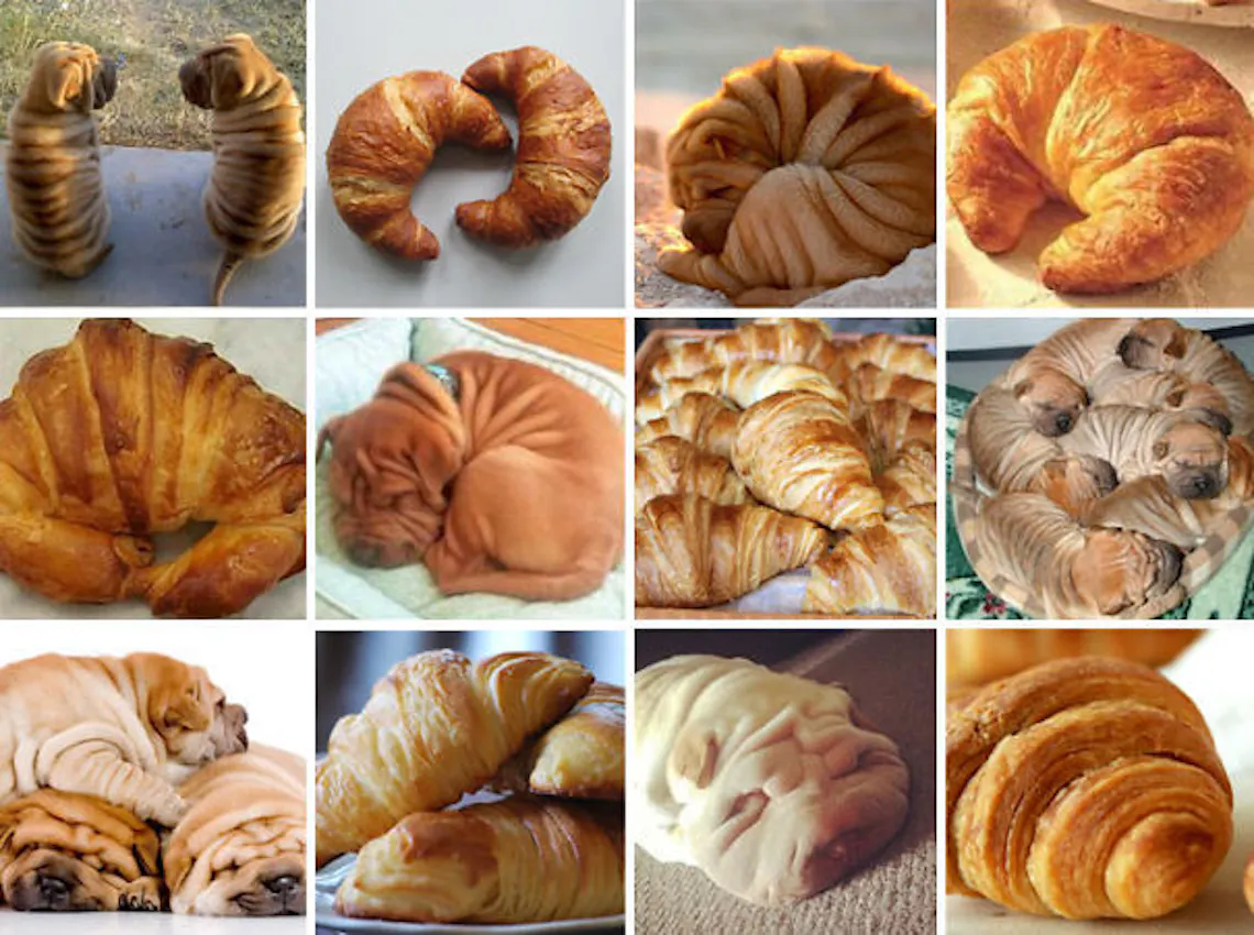 sharpeicroissant