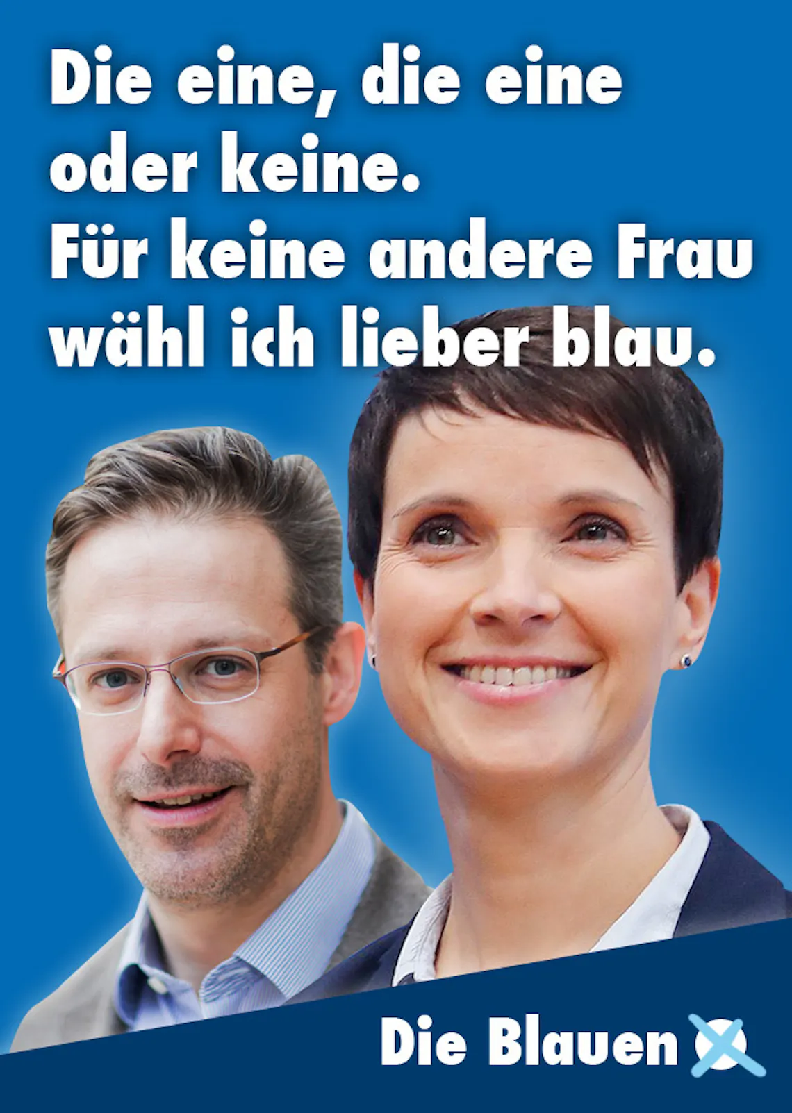 frauke petry partei plakate neu