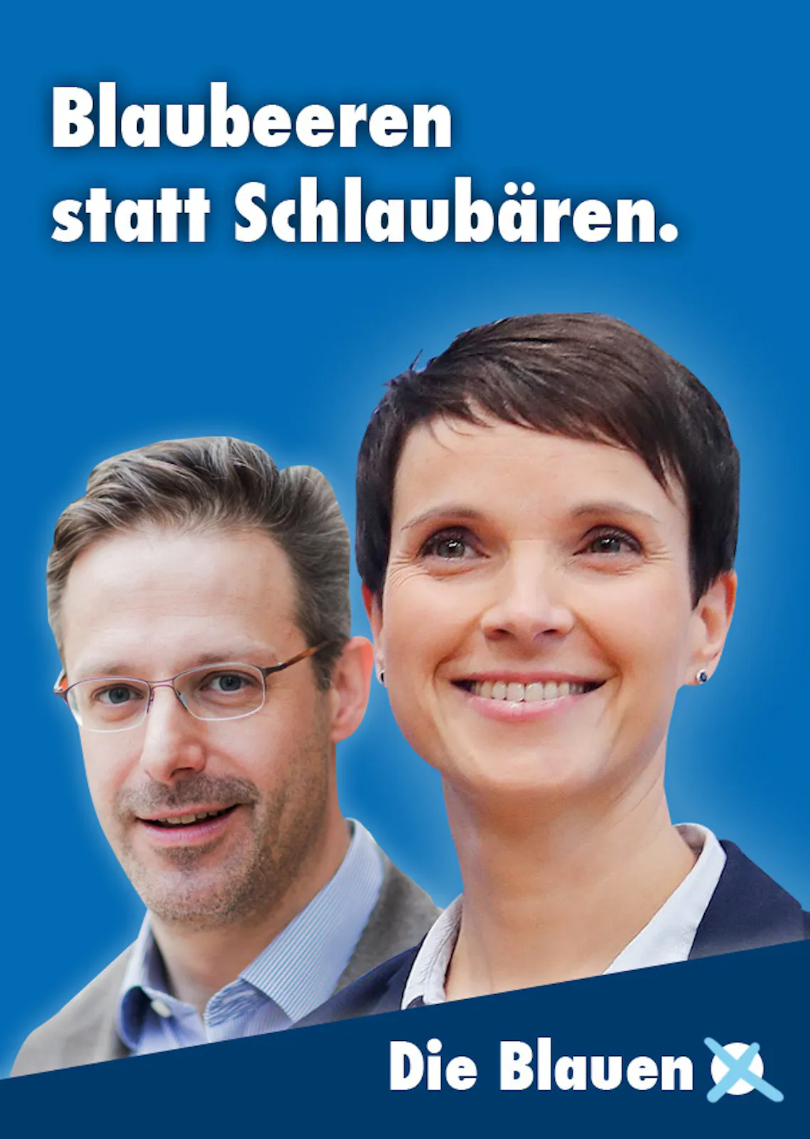 frauke petry partei plakate 5