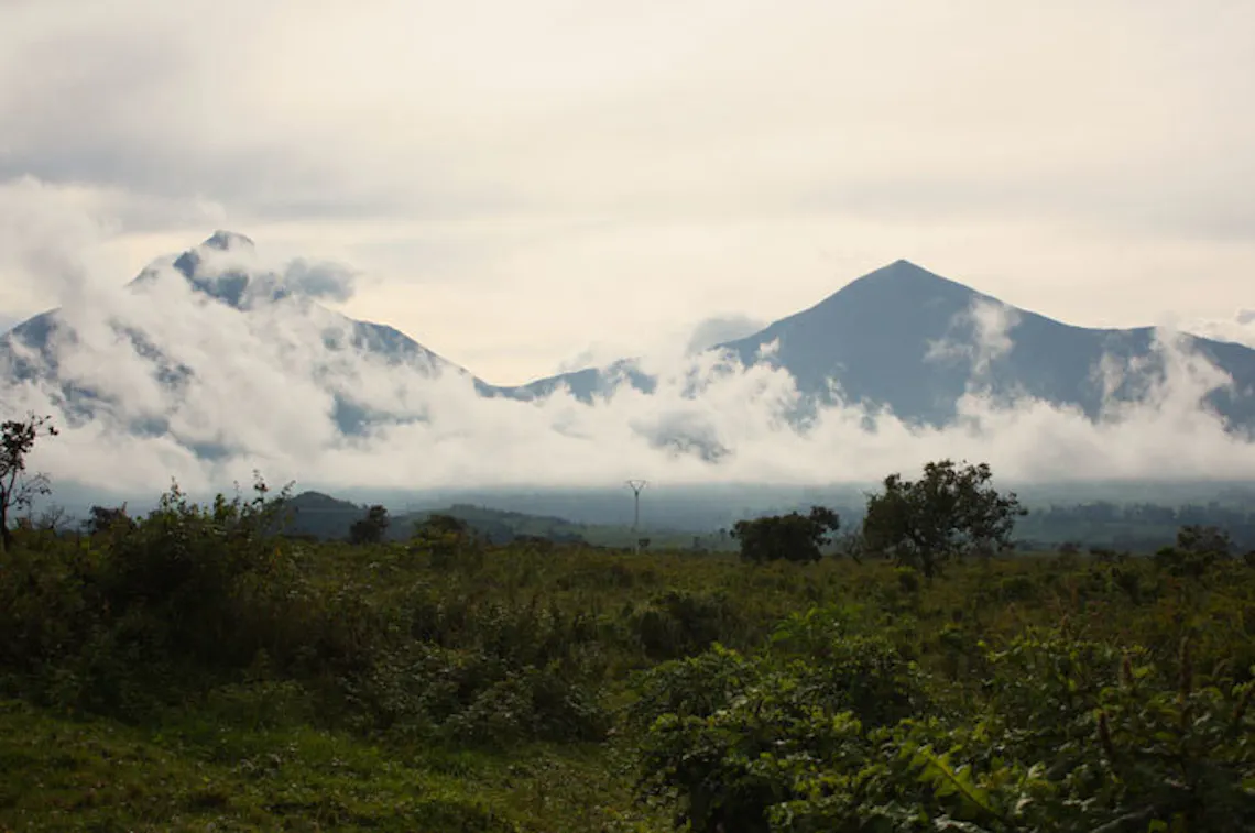 text virunga8 nationalpark