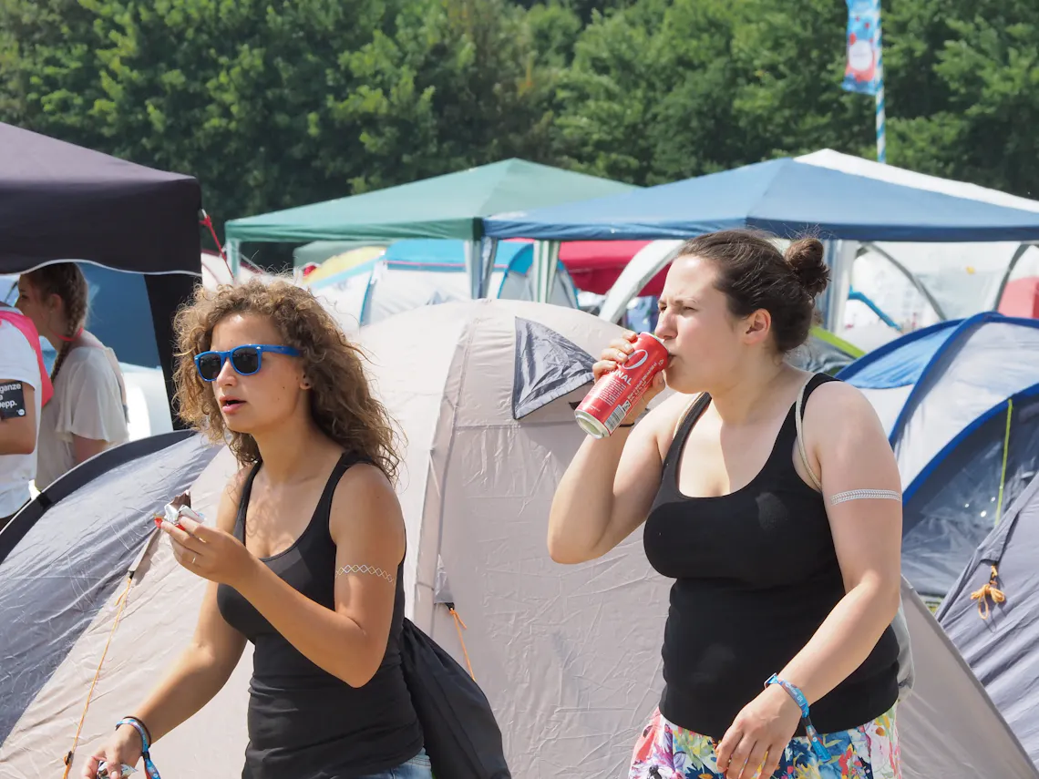 Puls Festival