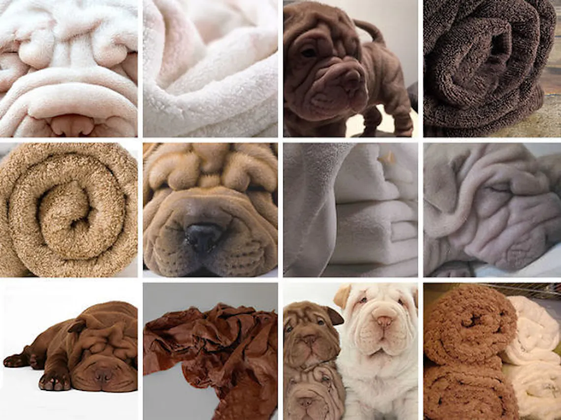 sharpeihandtuch