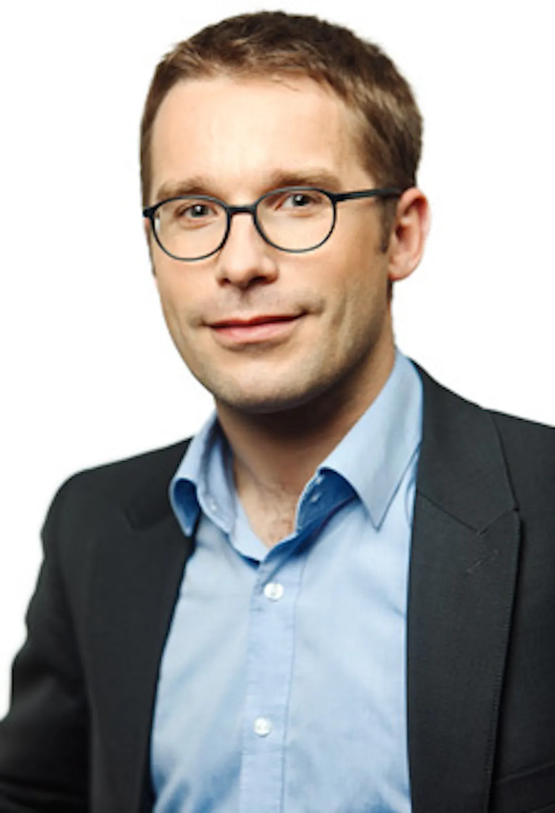 striegel die gru nen sachsen anhalt text