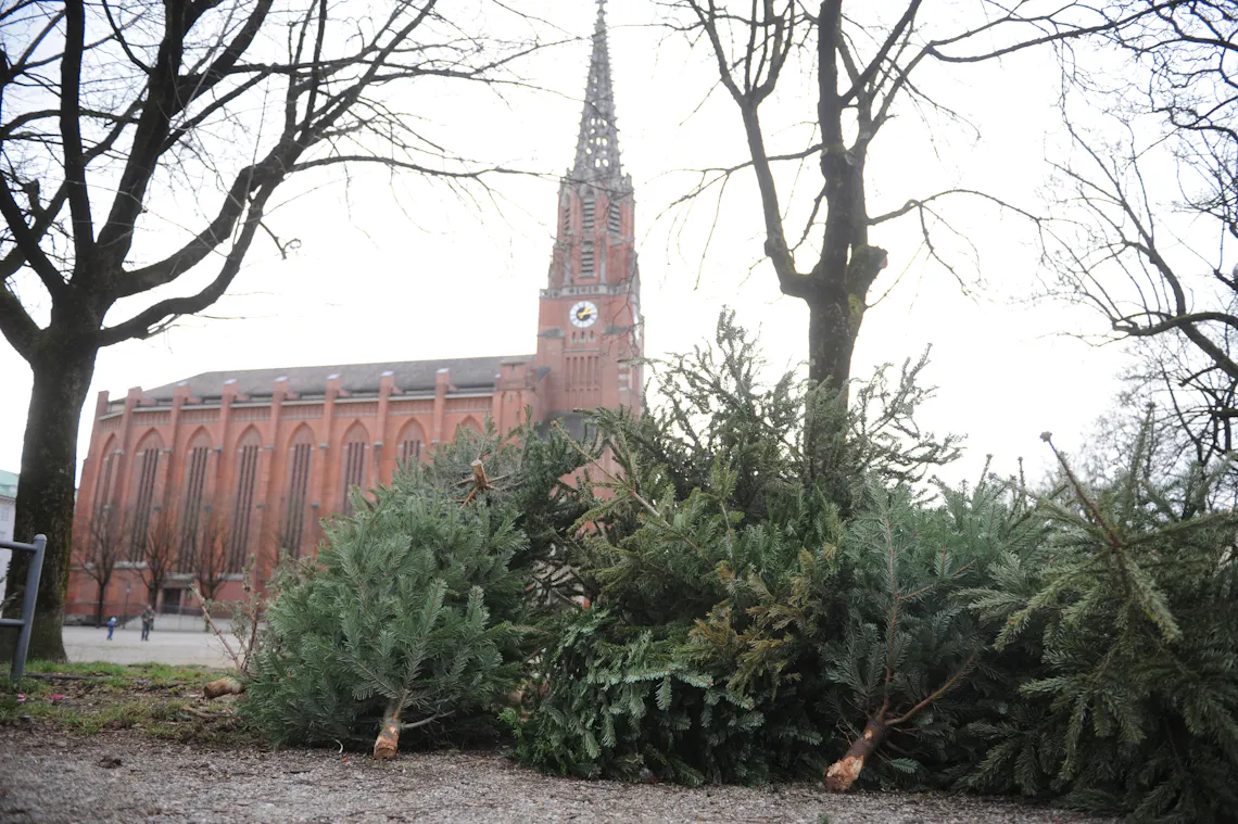 christbaum