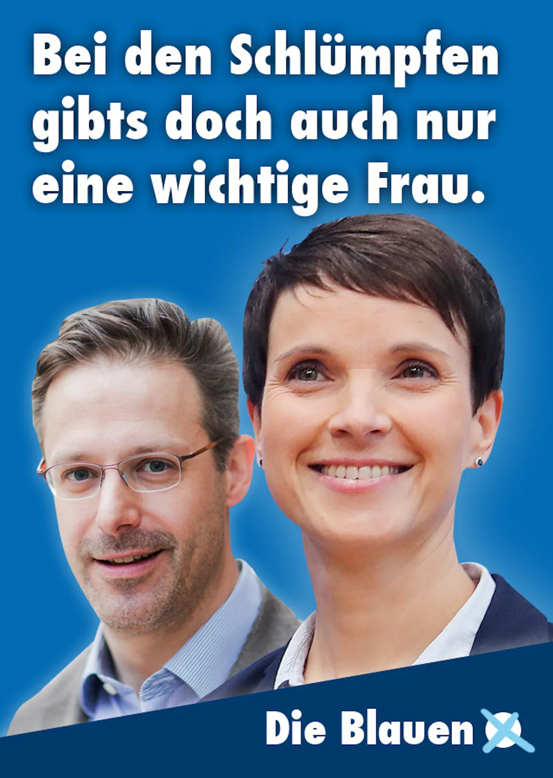 frauke petry partei plakate 2