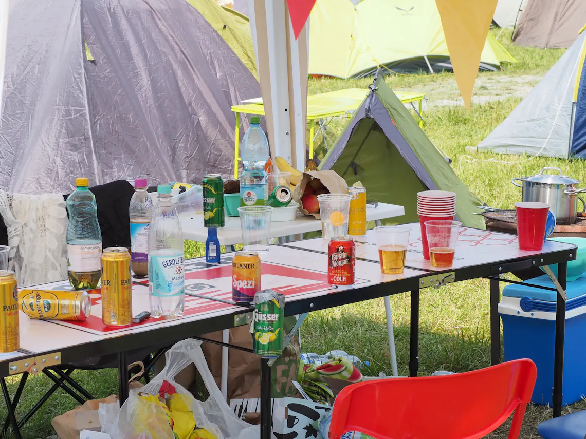 Puls Festival