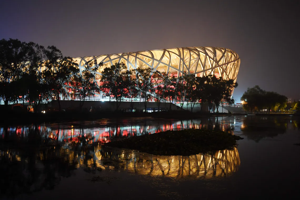 birdsnest