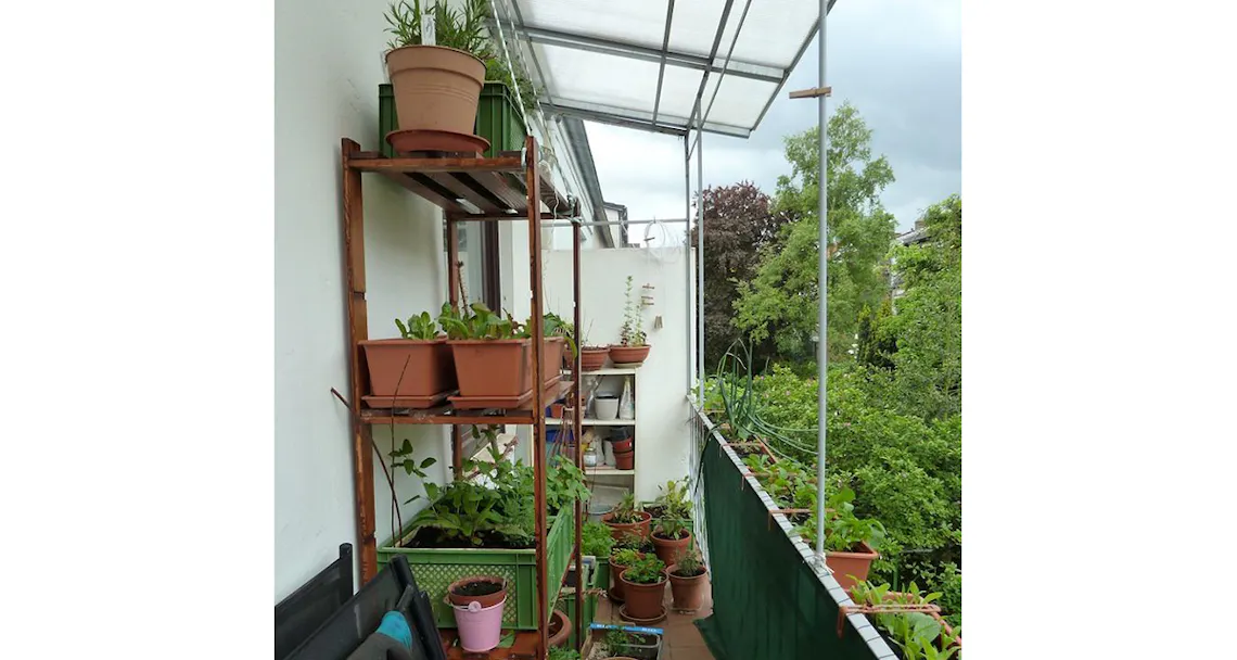 urban garden galerie 2