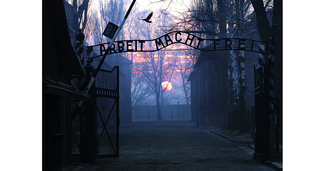 tag des gedenkens galerie auschwitz